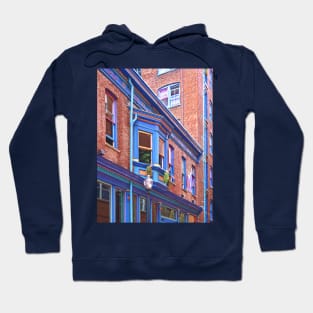 Easton PA - Street With Bay Window Hoodie